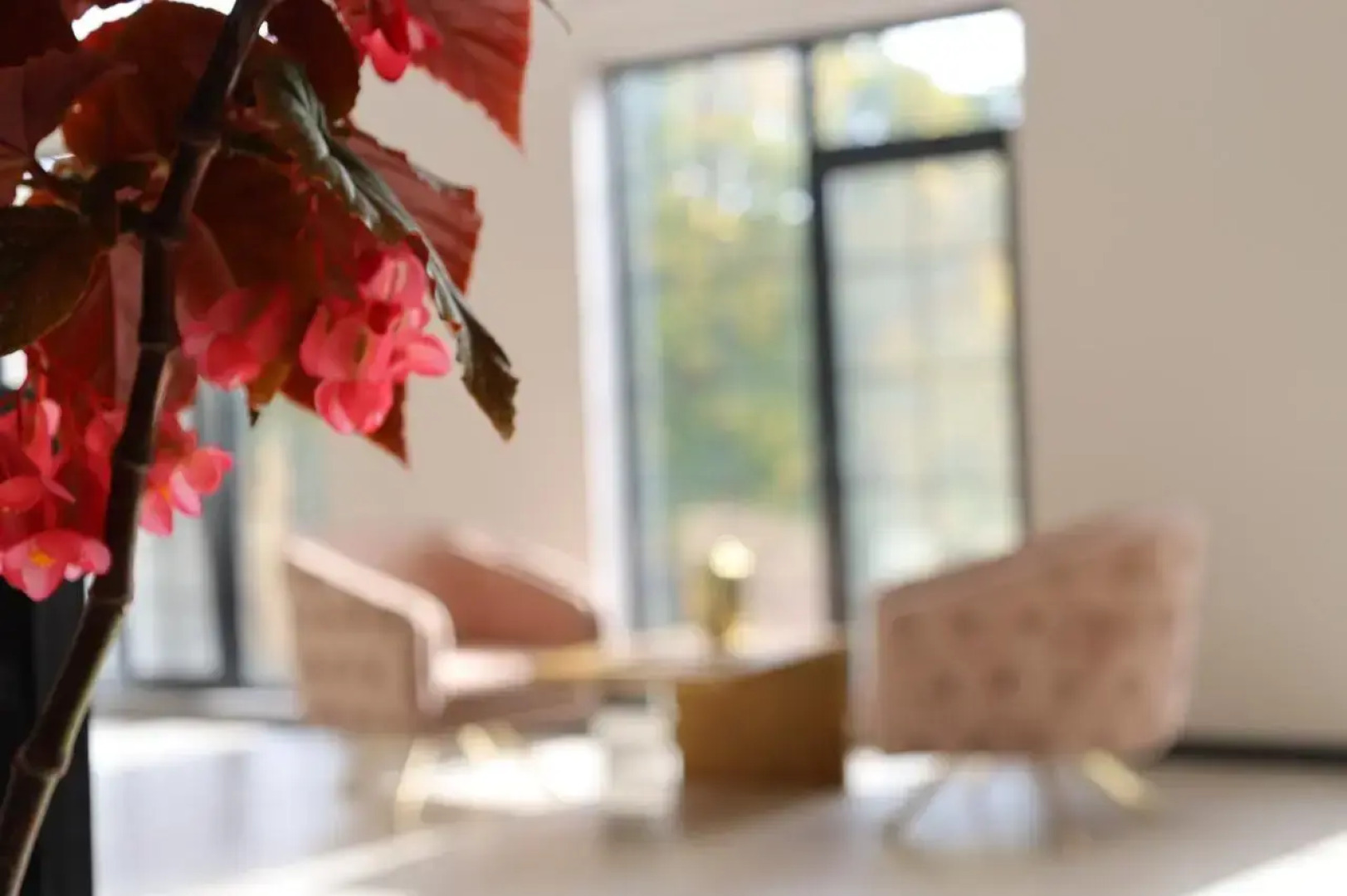 Отель Gacha-Gooch Forest