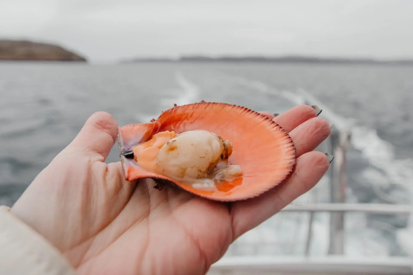 Гостевой дом усадьба Канентъявр