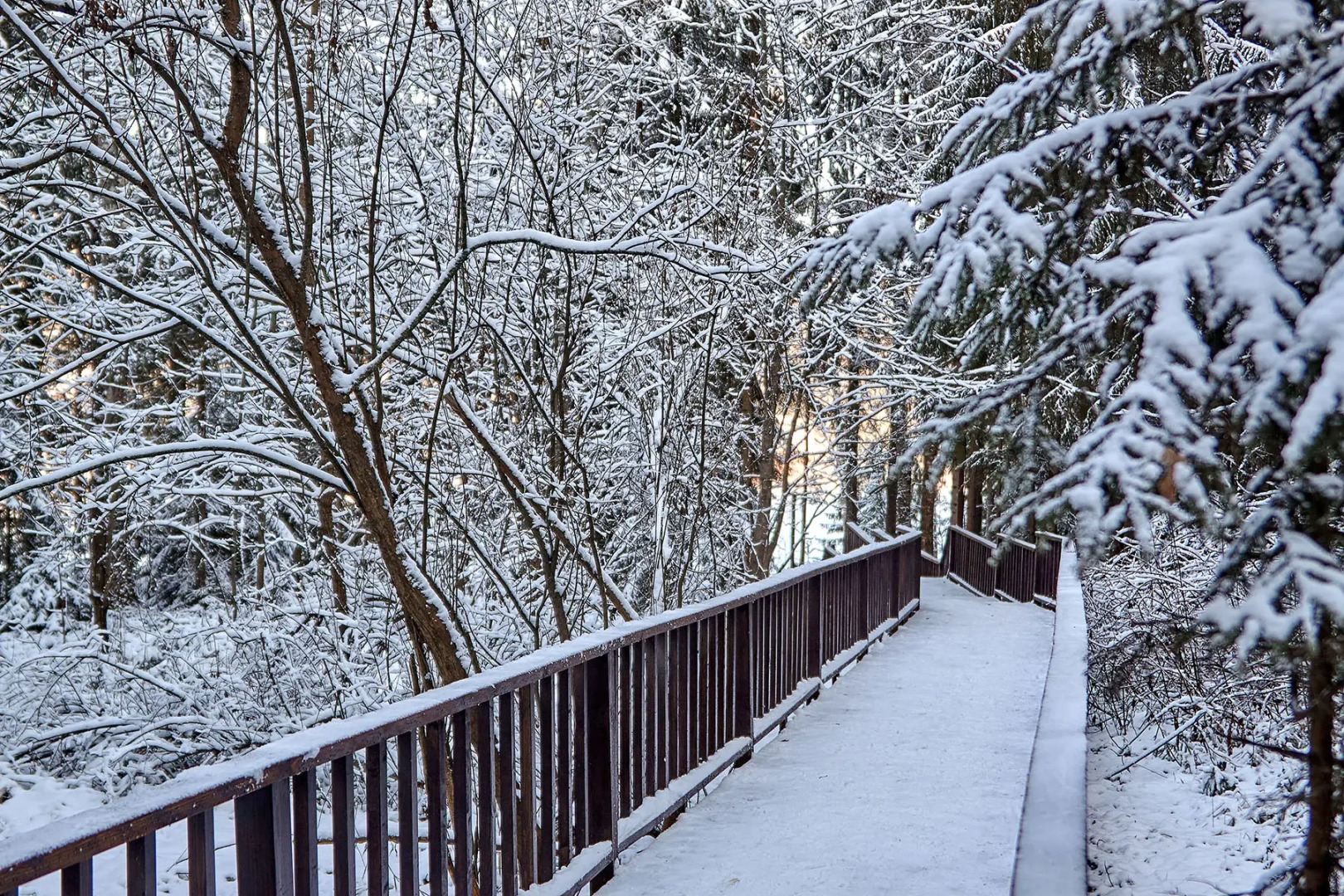 Отель Истра Холидей