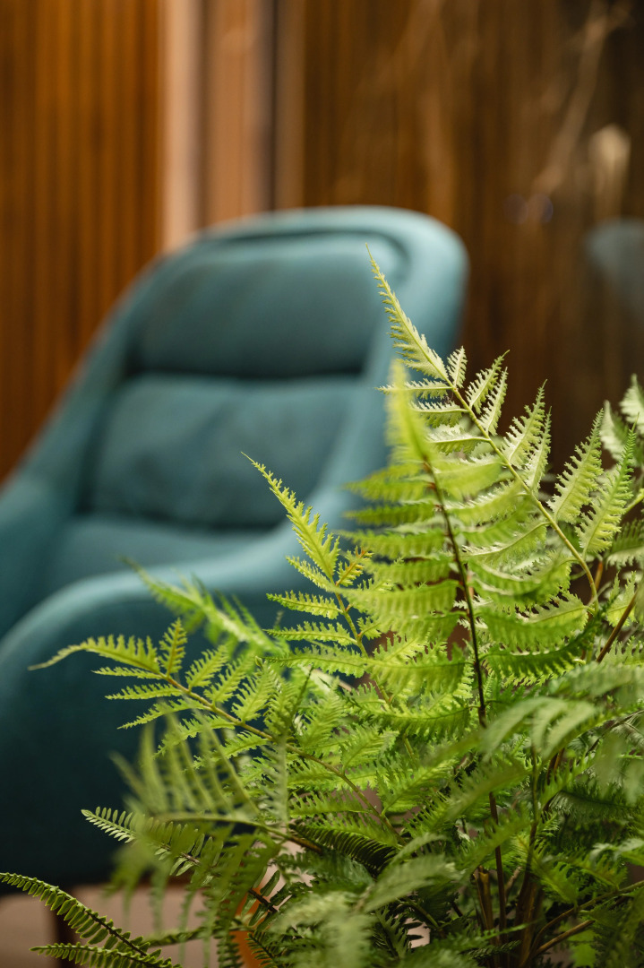 Отель Kamchatka Chalet