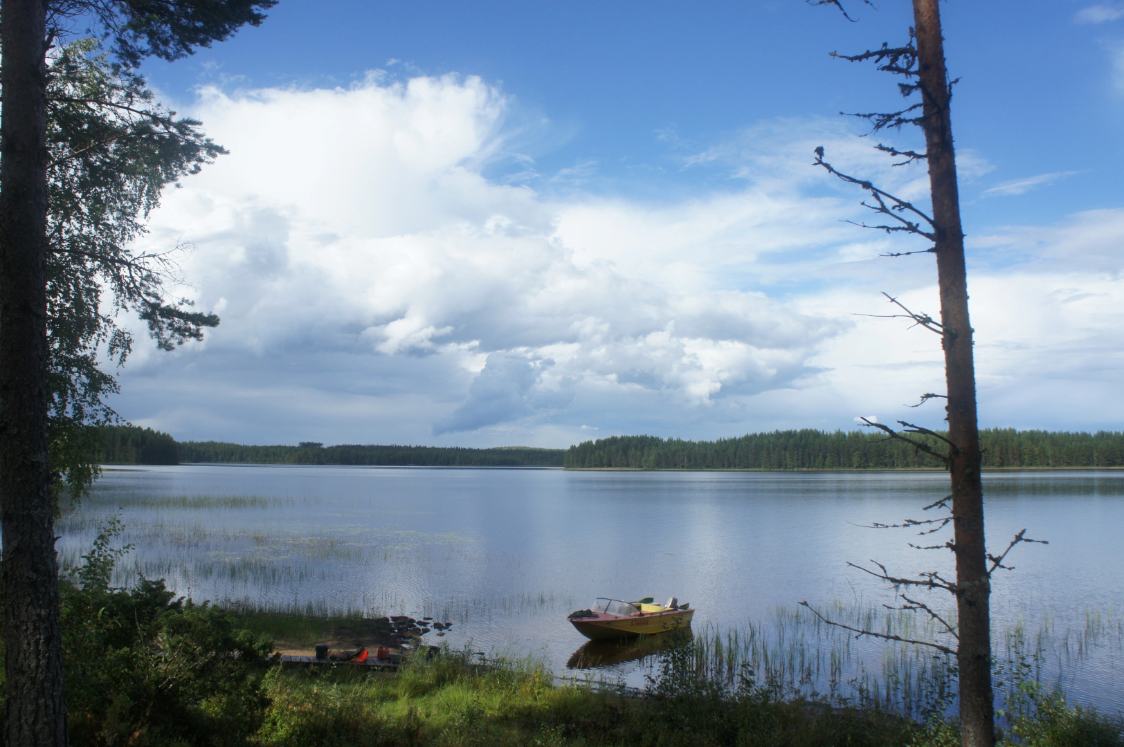 Гостевой дом Mustikka