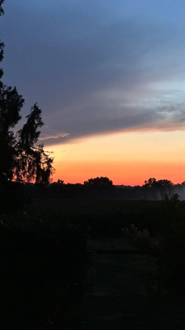 Country House Le Case Coloniche