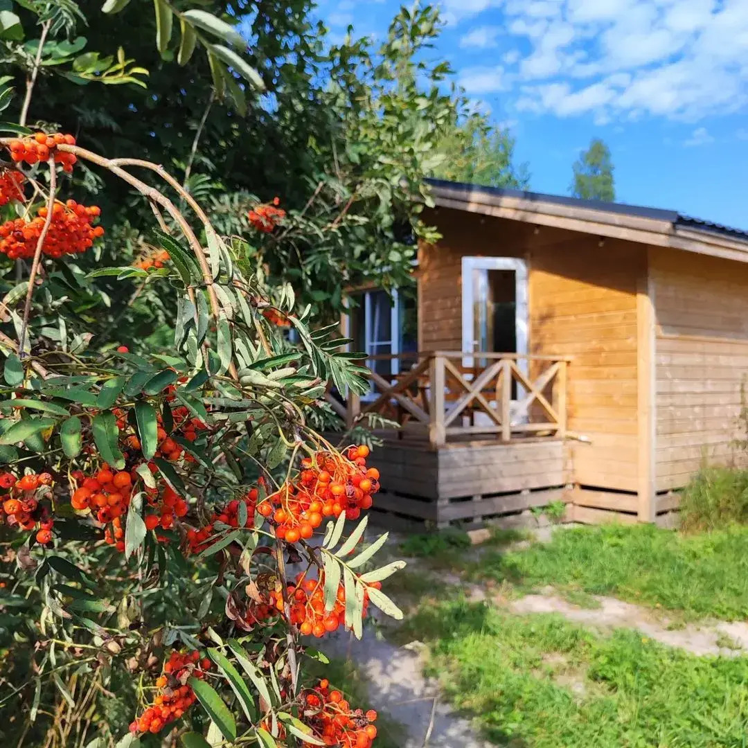 Гостевой дом Ладога Хоум - Лес