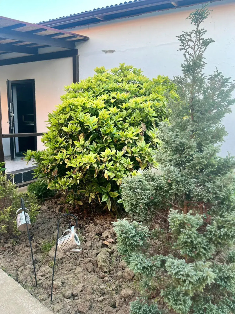 Гостевой дом Морская Звёздочка