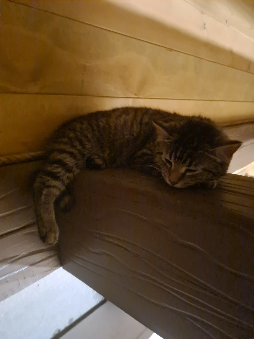 Частный дом Гора U Дачи