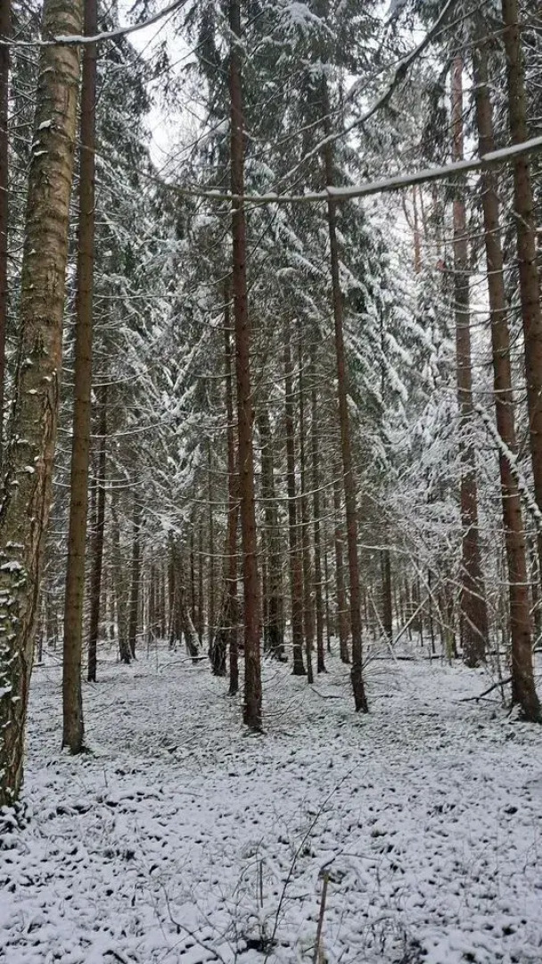 Частный Дом на Учаcткe 61 Соткa