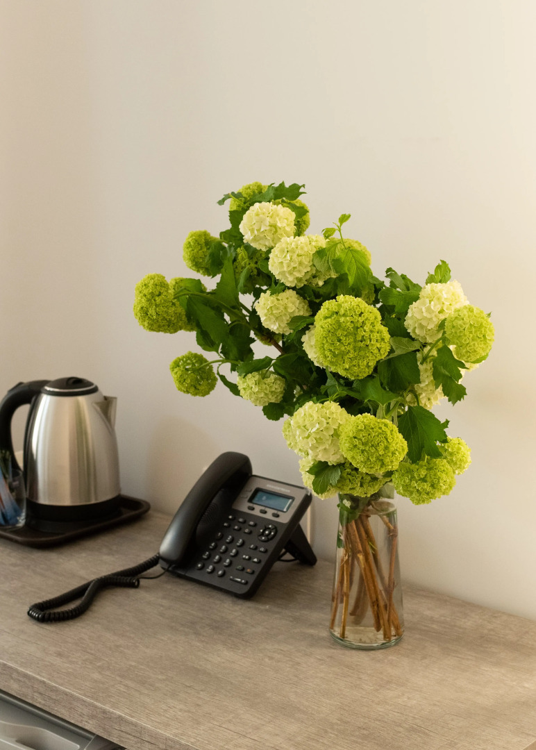 Отель Downtown Suites Hotel Yerevan