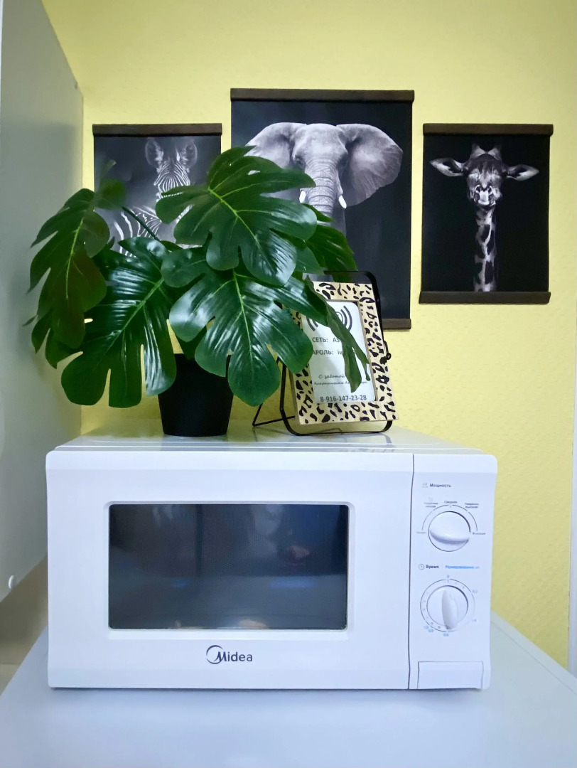 Апартаменты Африка на Школьной