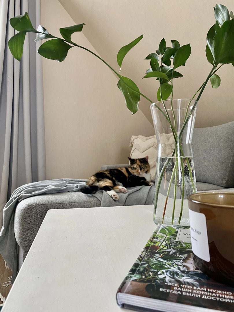 Частный дом Рядом с Озером