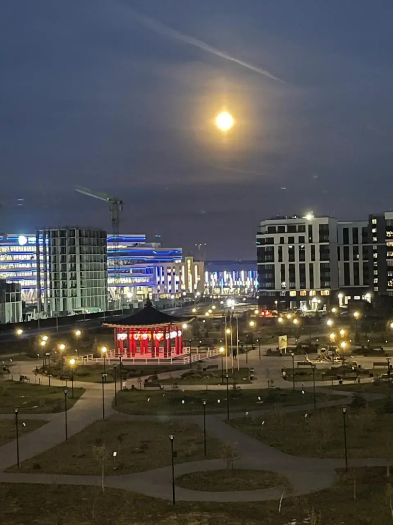 Квартира Студия Бизнесс-класса