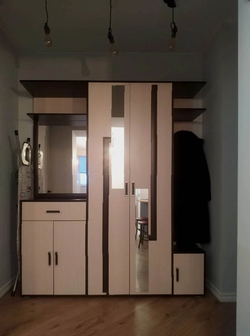 Квартира евро двухкомнатная у центрального парка, 33 квартиры