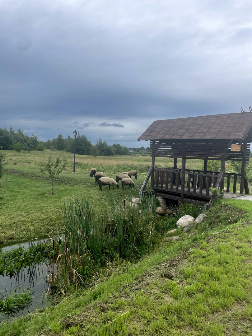 Отель Альфа Гарден