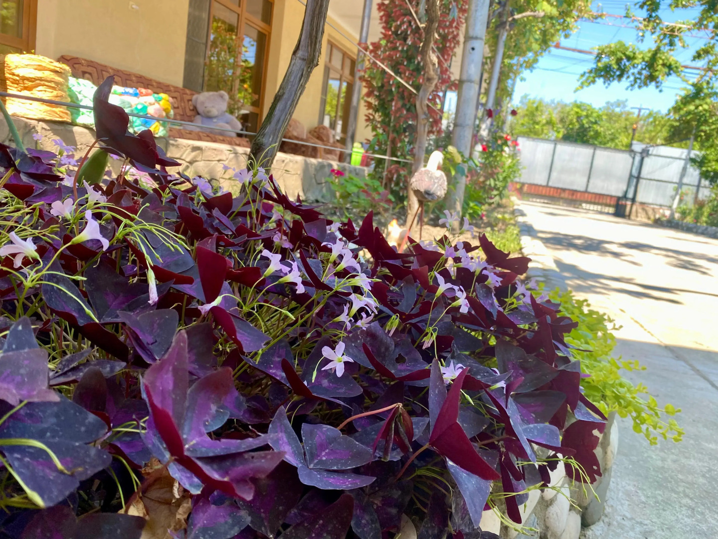 Гостевой дом U Norika i Susanny