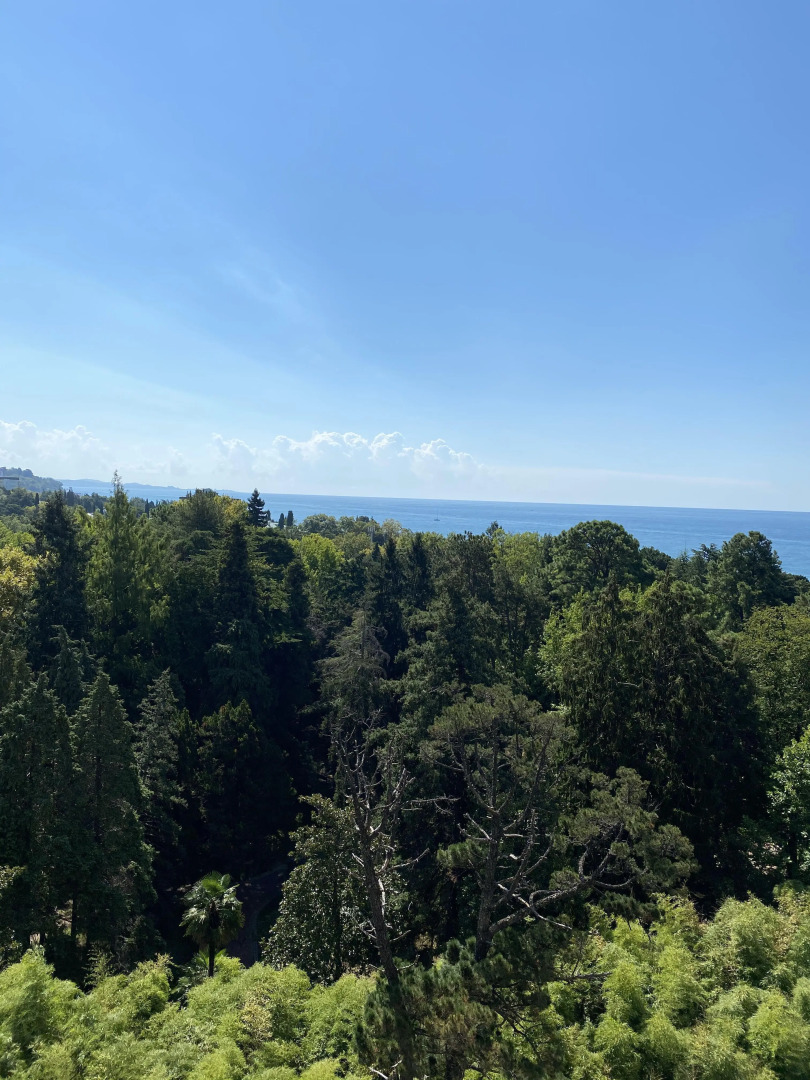 Апартаменты Дизайнерская Квартира в Новой Александрии