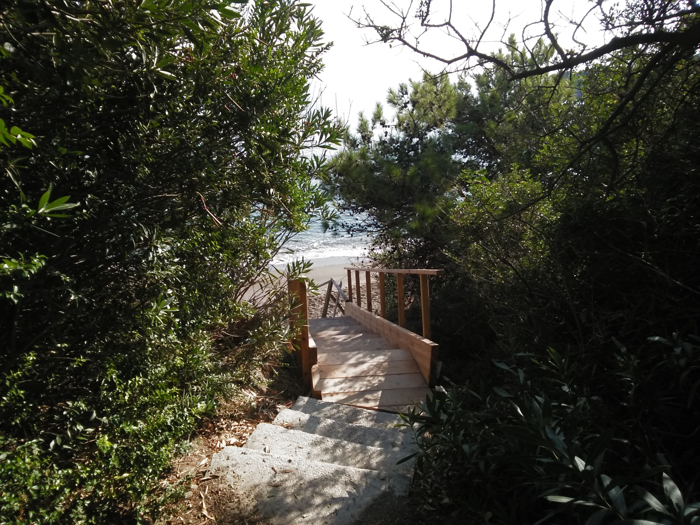 Апарт-Отель New Aurora Apts Studios