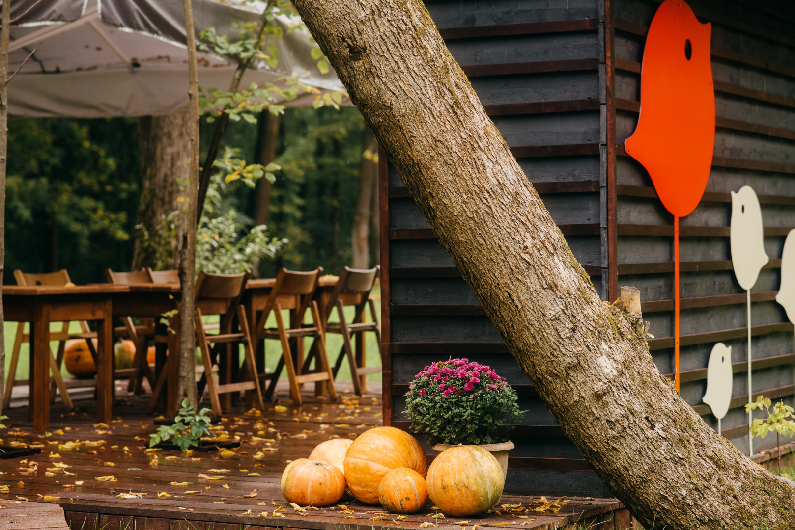 Отель Эко простые радости