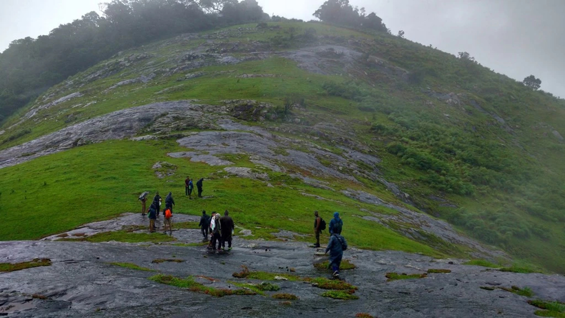 Moon Hill Resort Munnar ( Nature Retreat )