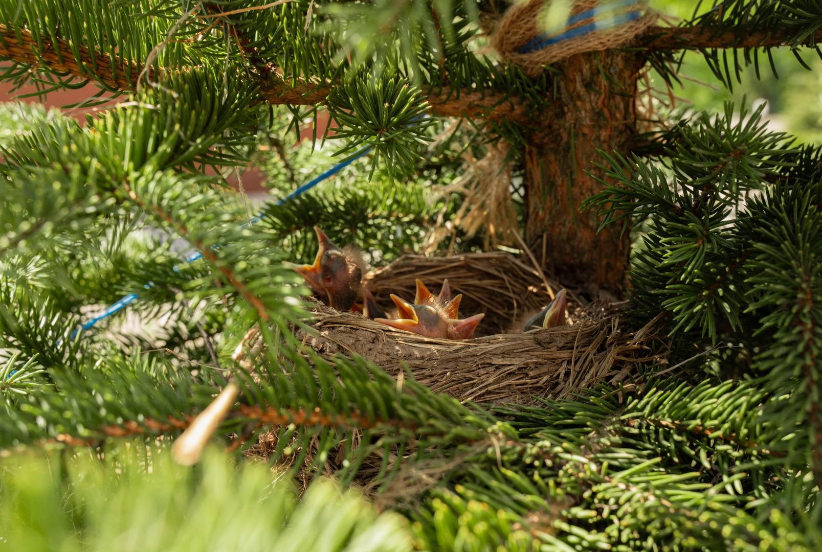 Гостевой дом Эко-отель Агдам