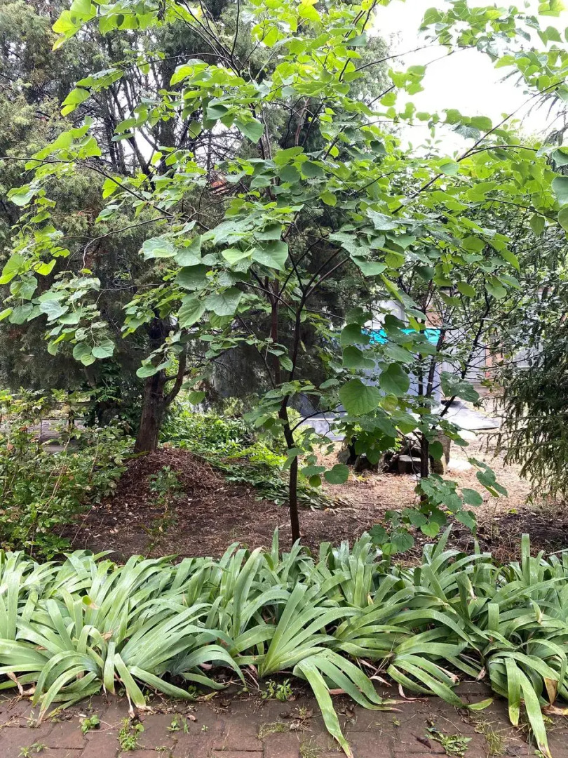 Частный дом с садом и бассейном