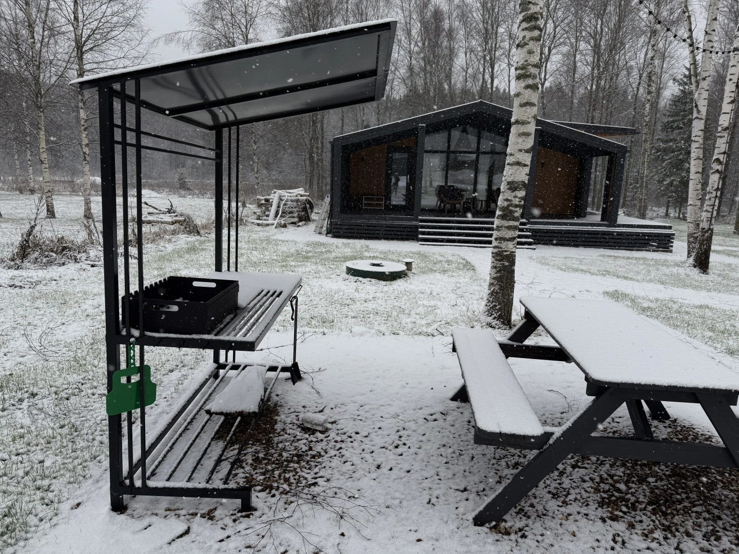 Частный дом BIRCH на Берёзовой 2