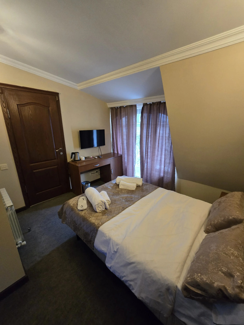 Отель Ritsa Hotel