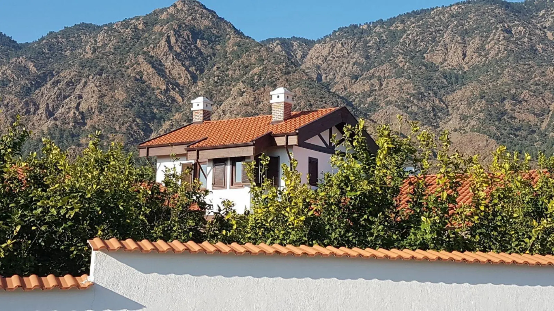 Mandarin Guesthouse - Adult Only