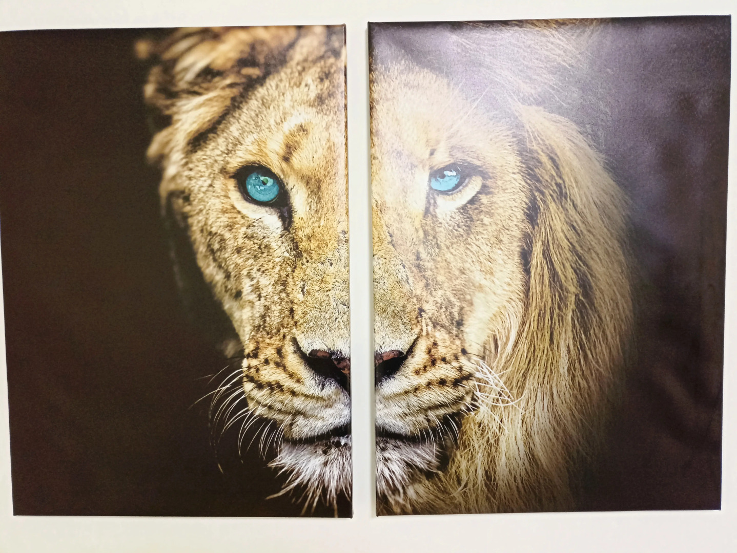 Гостевой дом Альтаир-22