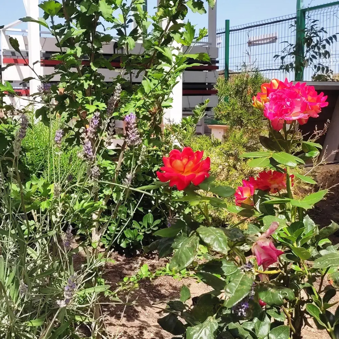 Частный Дом с Бассейном  с Видом на Азовское  Море