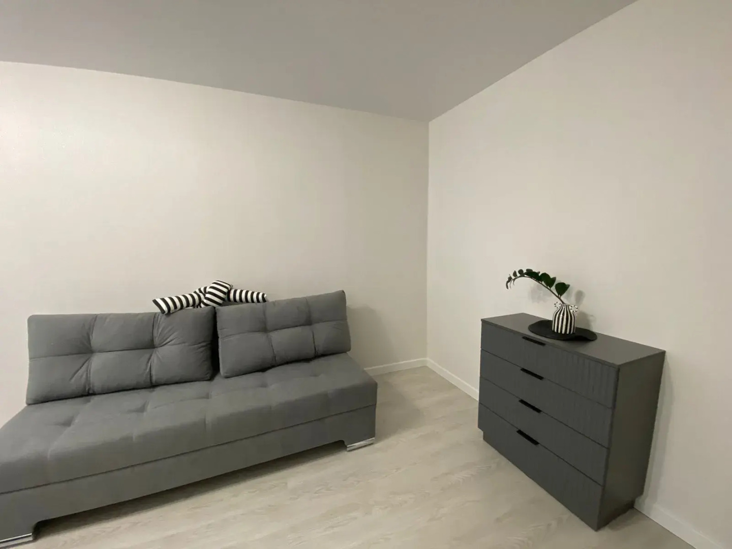 Квартира с замиакулькасами