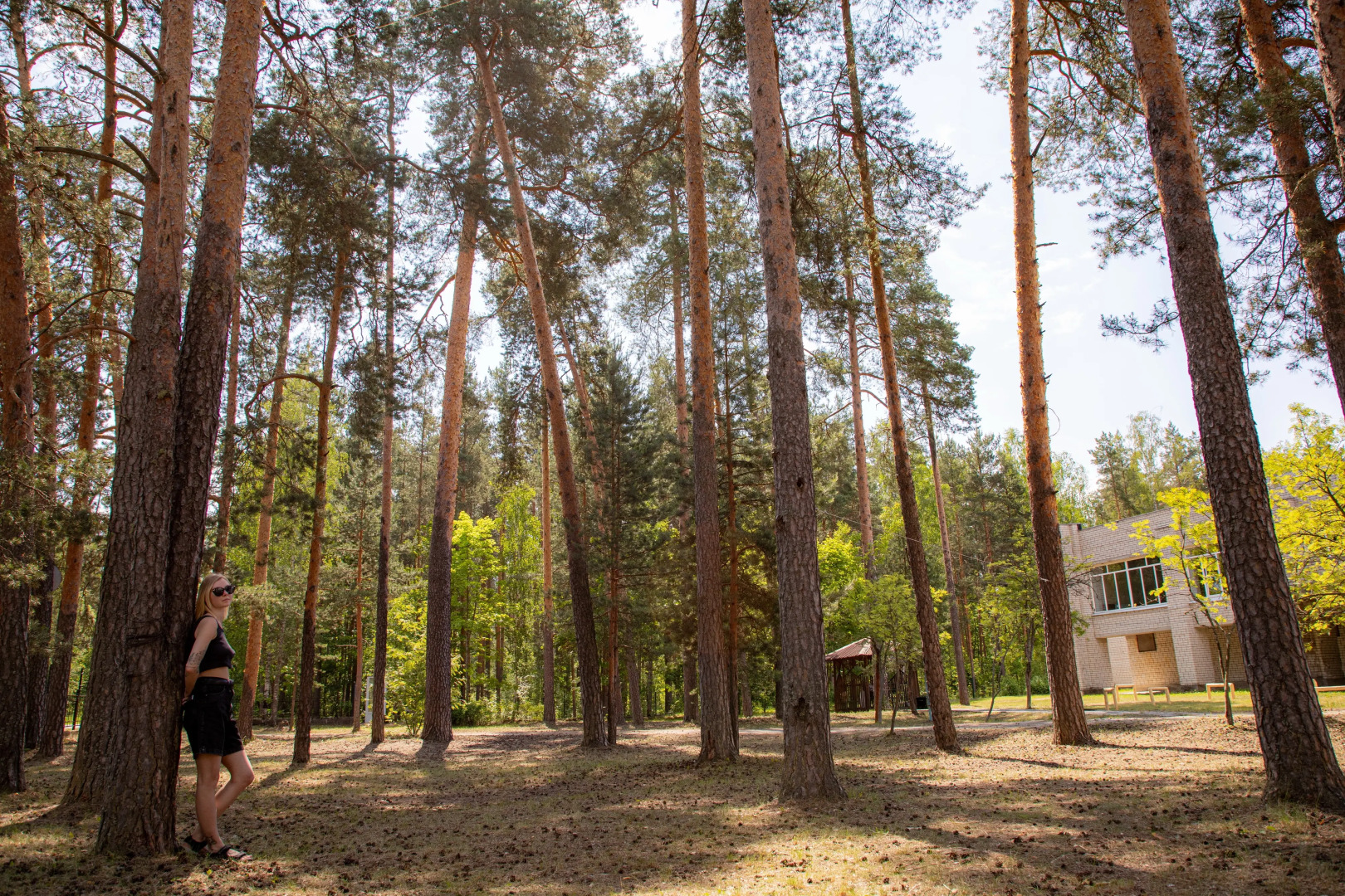 Отель Сосновый бор