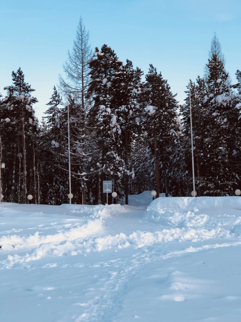 Квартира с обзором на просторы Ямала