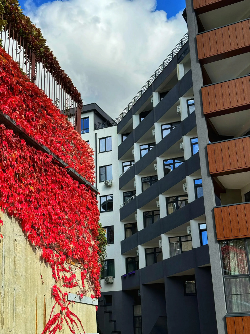 Апартаменты для Четверых с Видом на Горы и Море