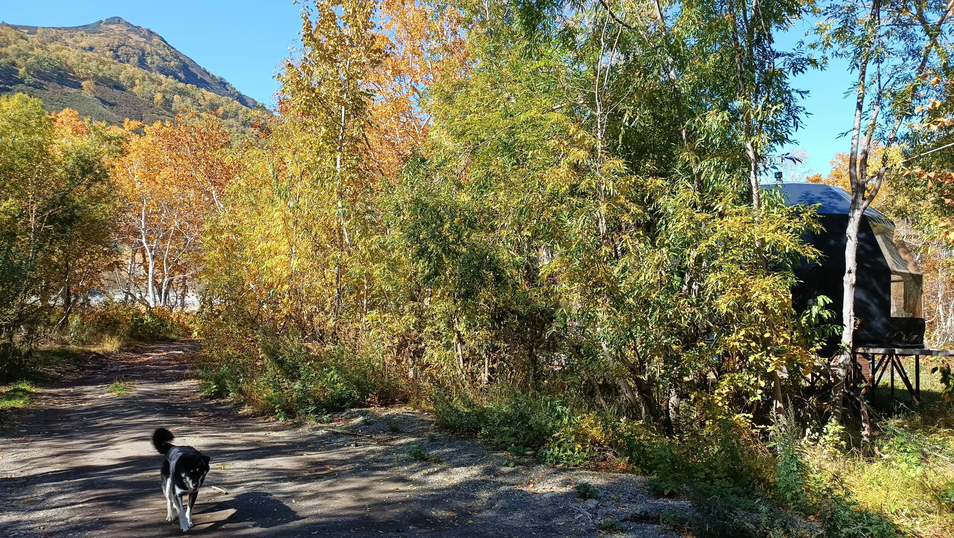 Коттеджи Горячая сопка