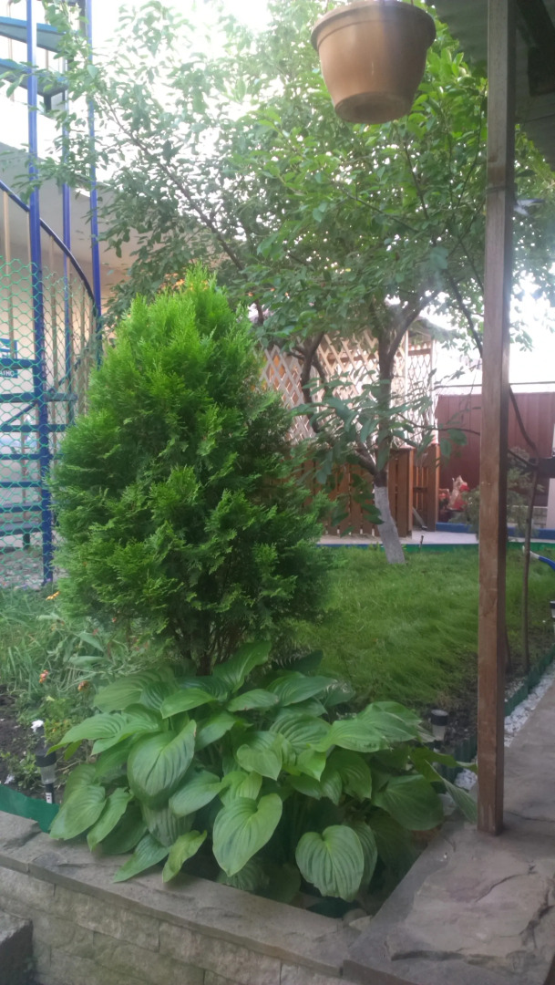 Гостевой дом Вера