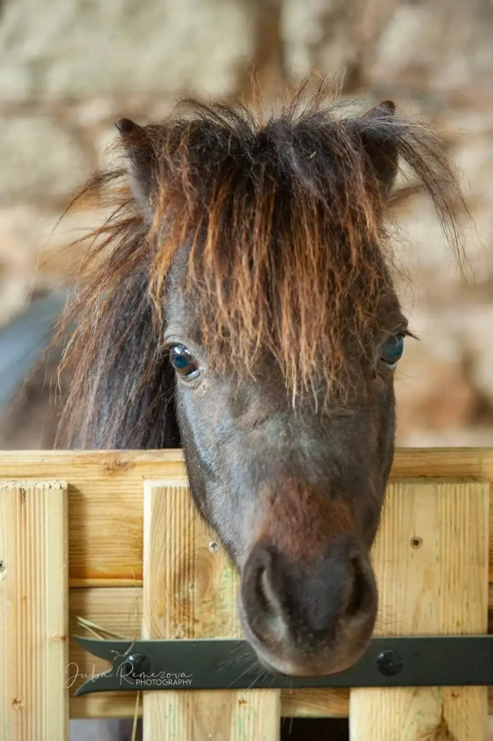 Вилла La Ville Tanet
