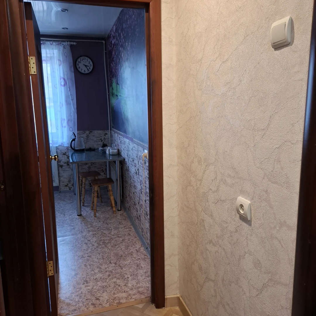 Квартира Радищева