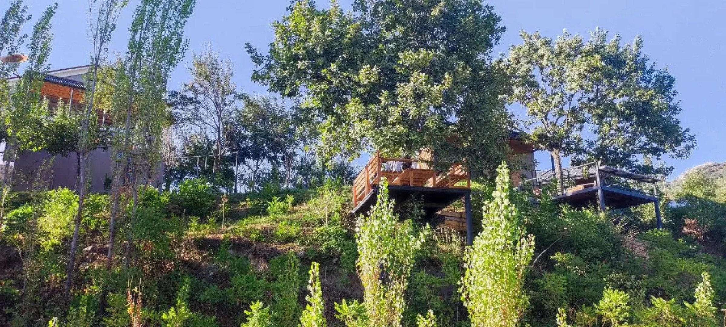 Апарт-отель Lady and Bear GH