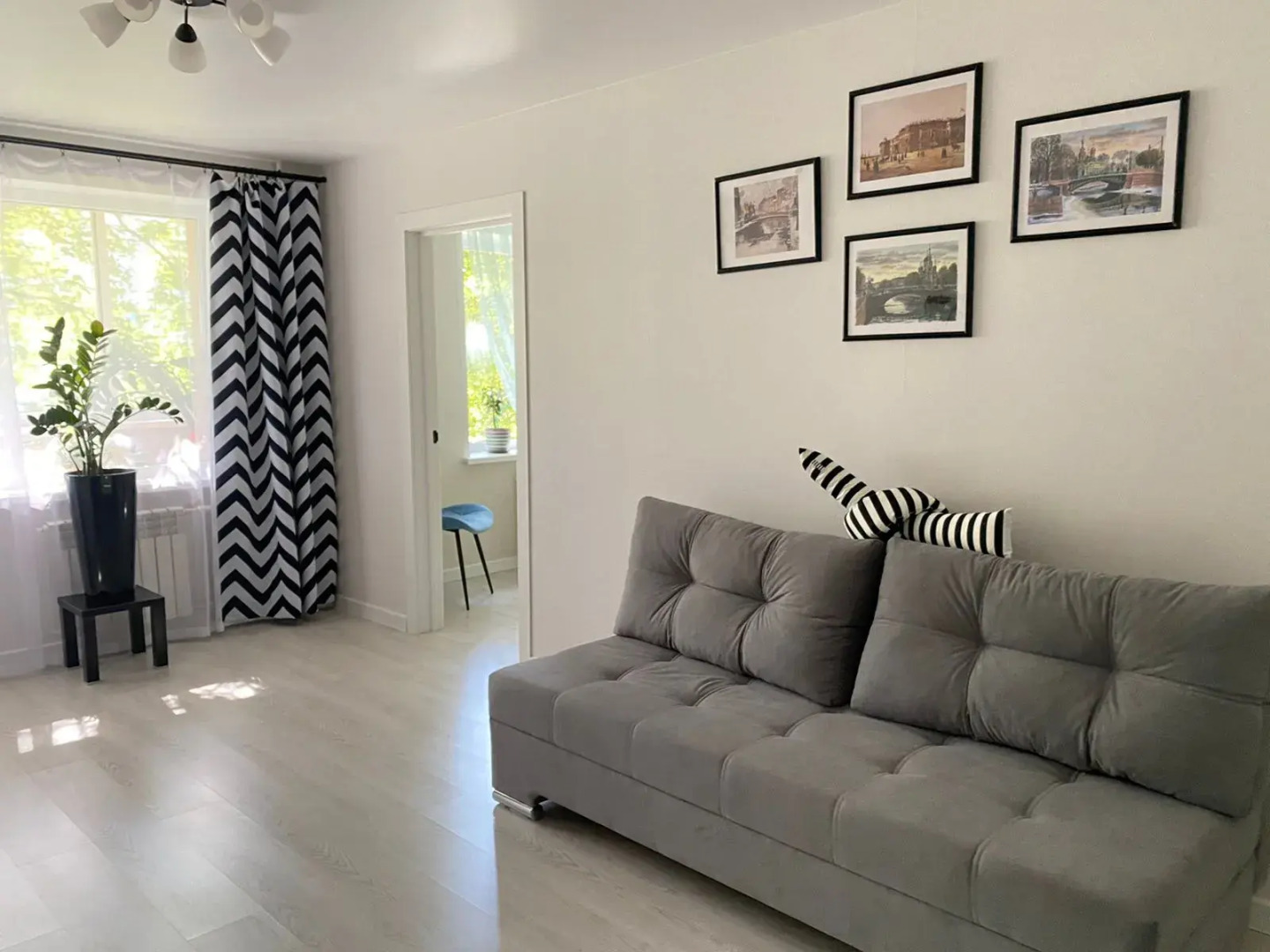 Квартира с замиакулькасами