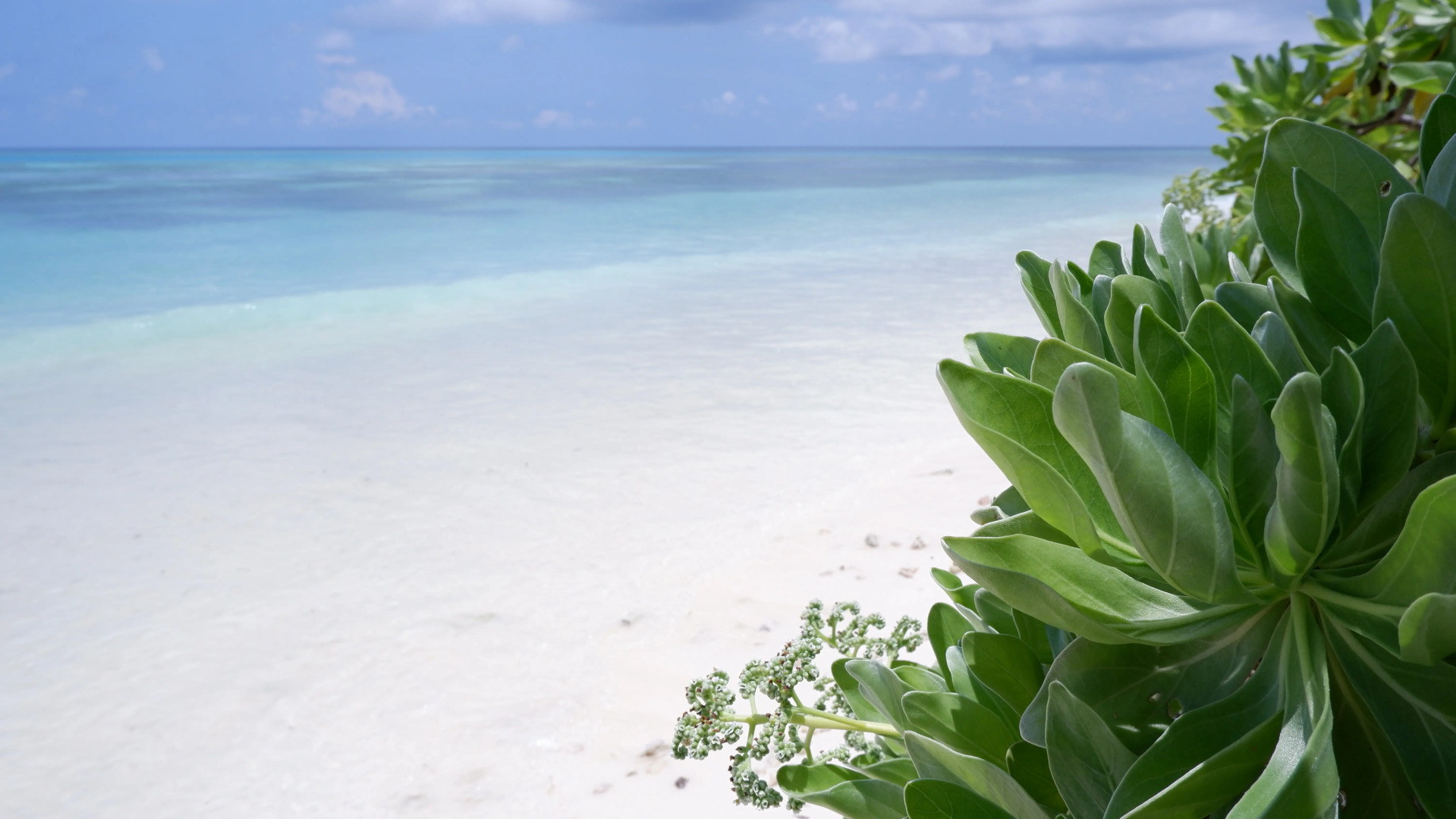 Гостевой дом One the Island