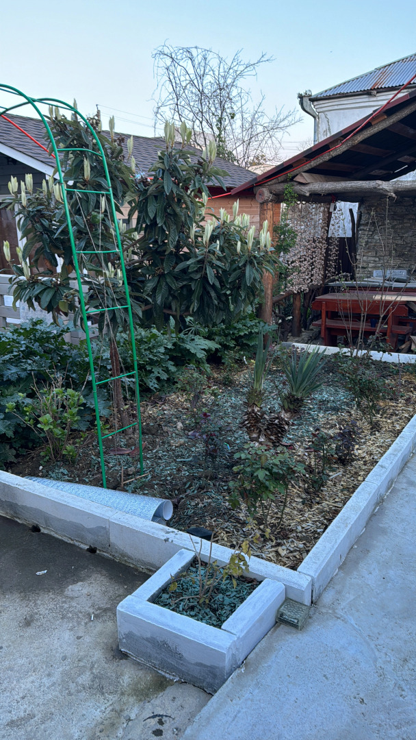 Гостевой дом Авокадо