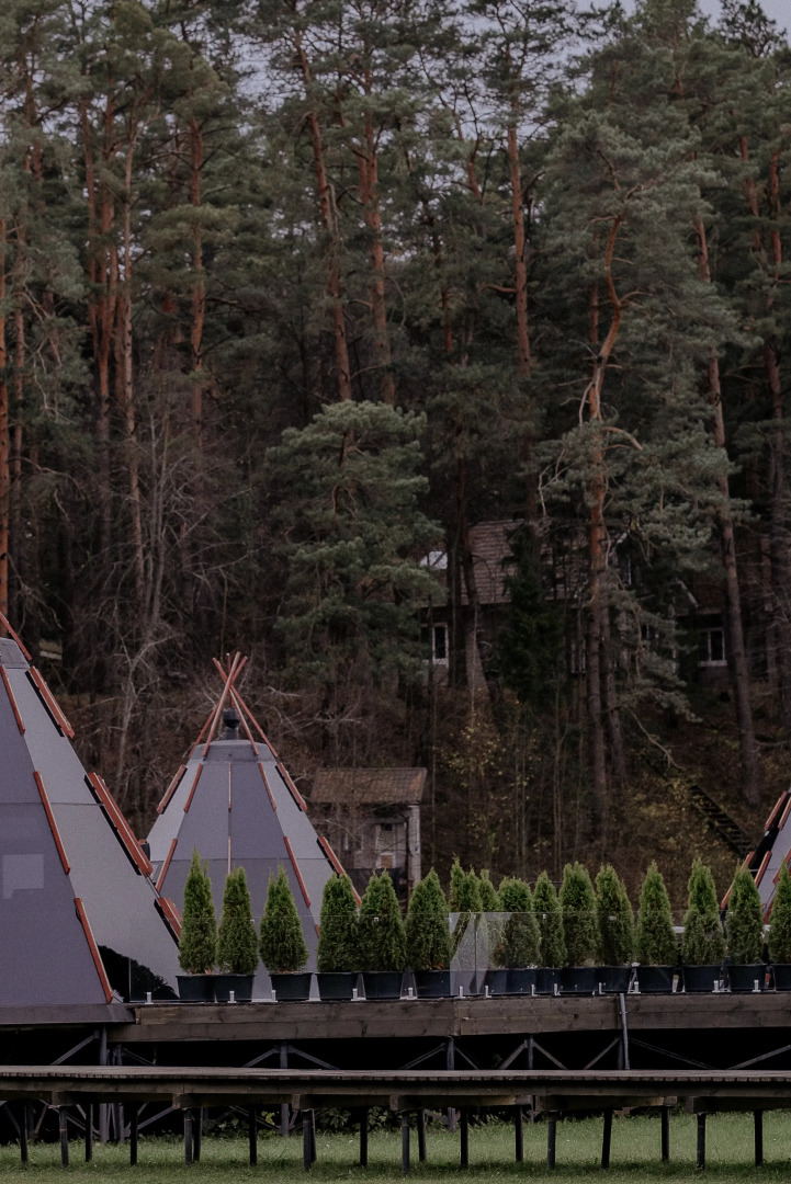 Отель Пайн Ривер