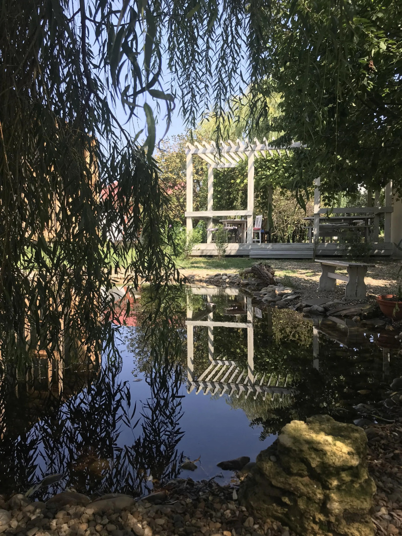 Гостевой дом Blaga House design dacha