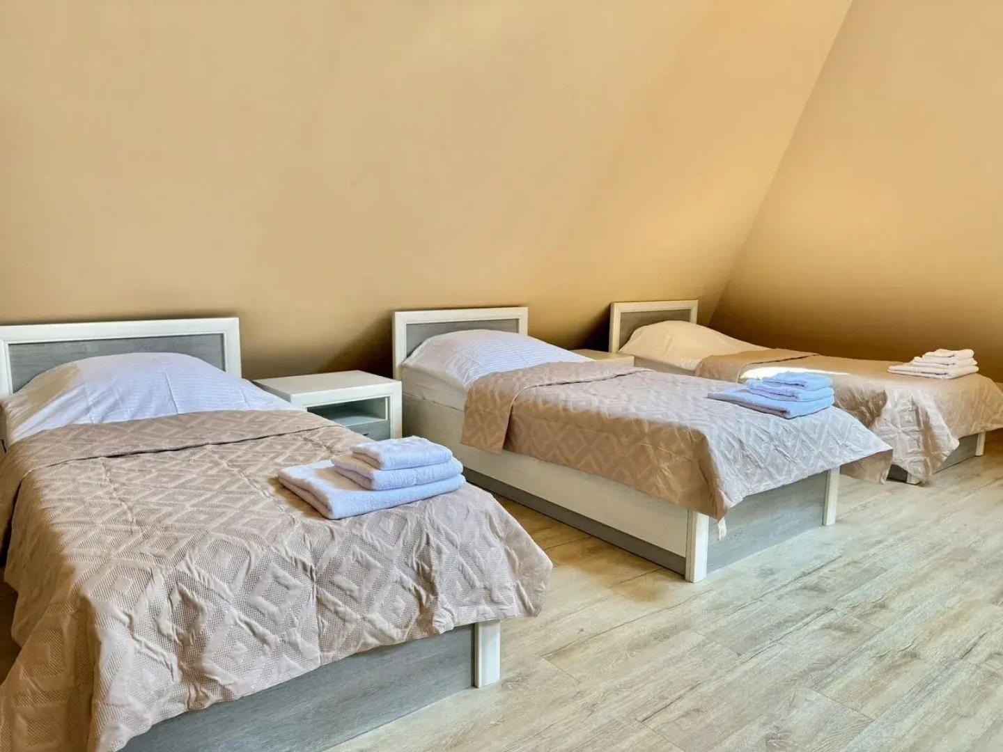 Частный дом на Ушакова 17