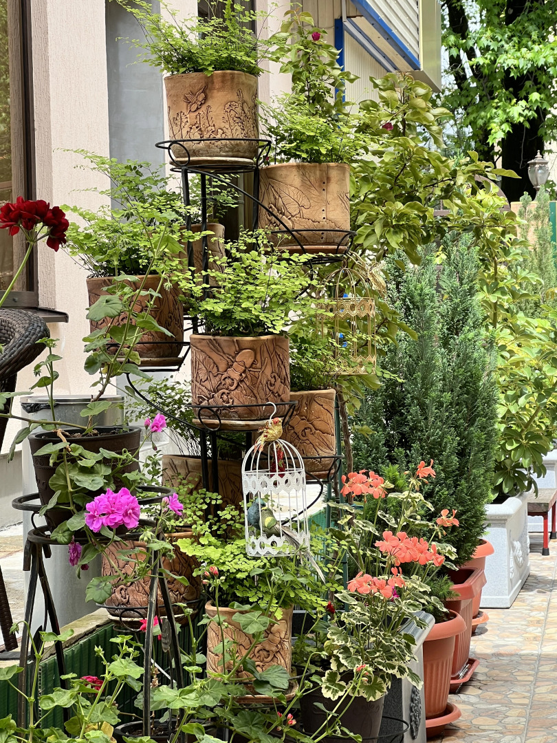 Гостевой дом Сюзи