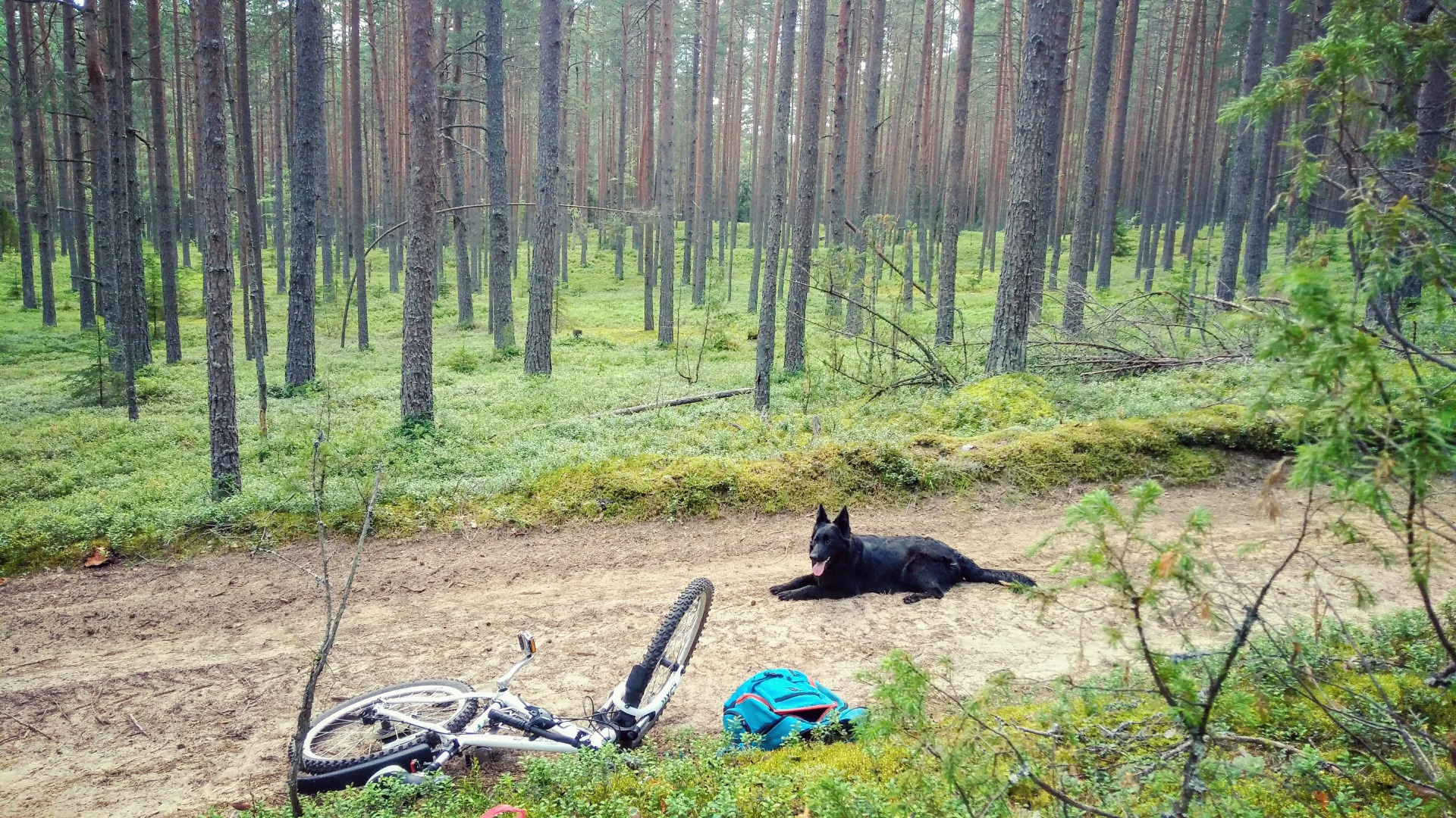 Podcherniche guest House