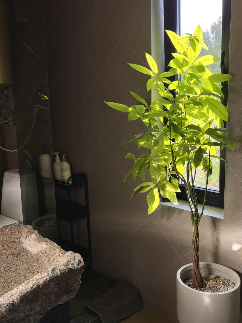 Бунгало Филиндорф