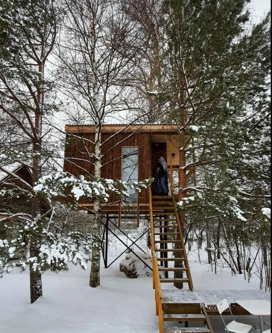 Гостевой дом Дом на дереве