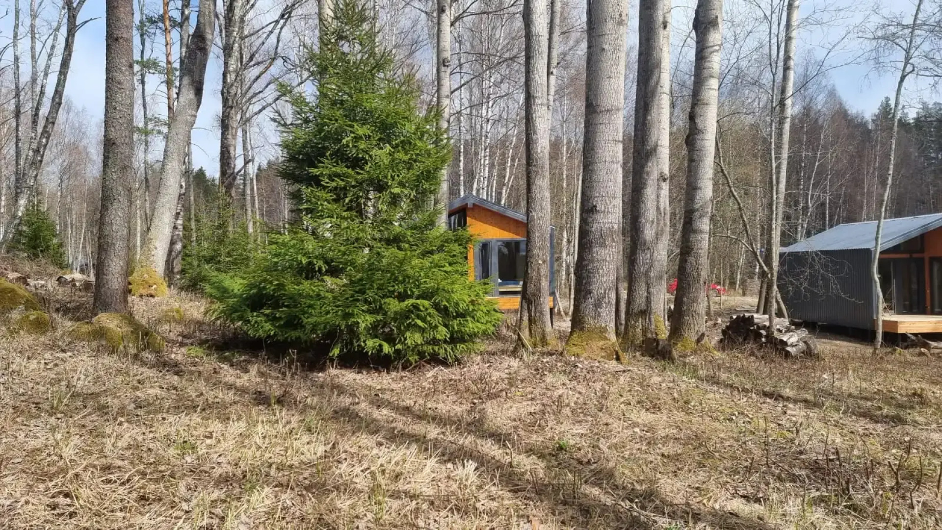 База Отдыха Ромашка Клуб