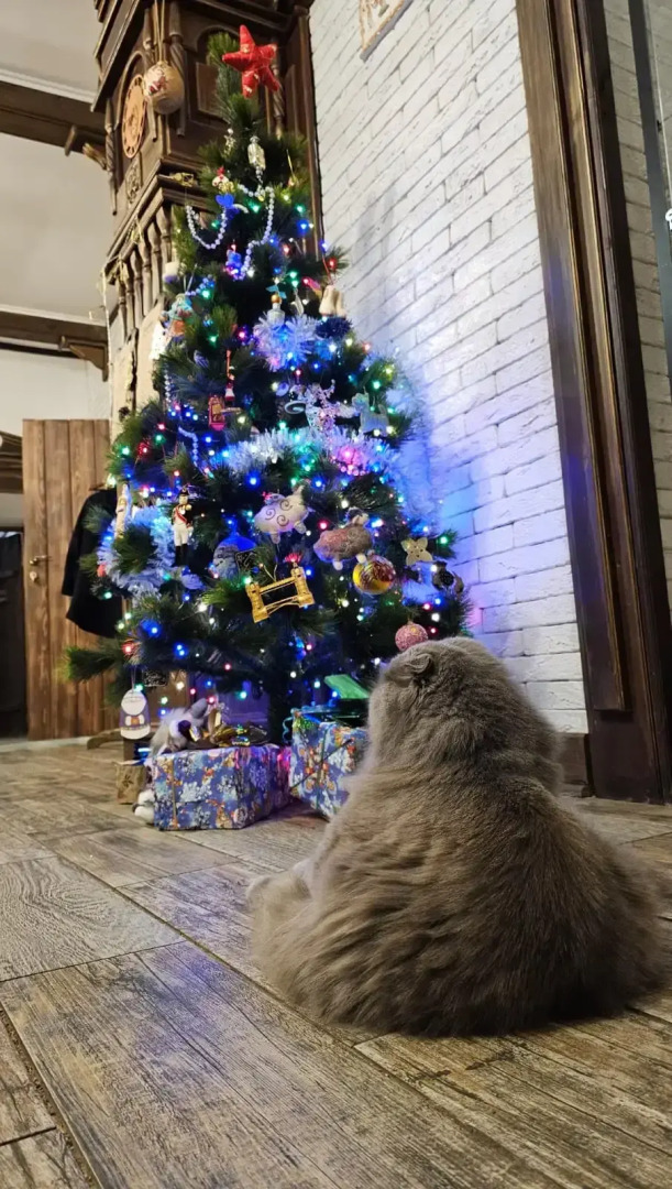 Гостевой дом Дом Ершова