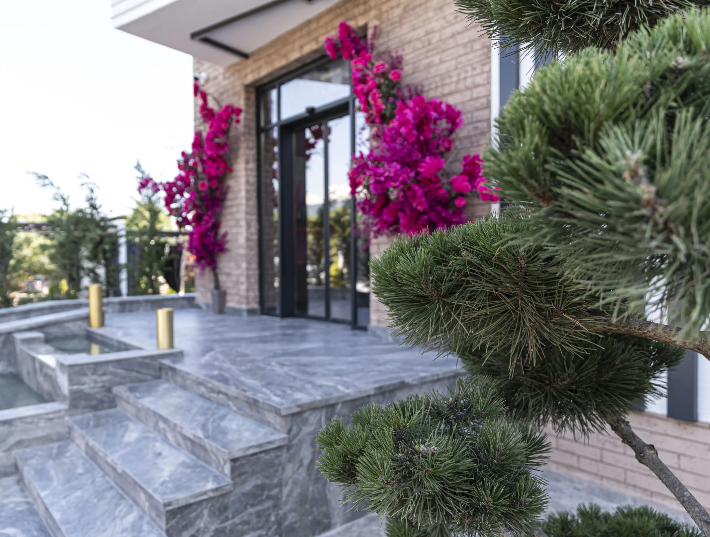 Отель Лотос